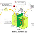 Waste to energy becoming a popular concept Turning waste into electricity is a concept that is gaining a great deal of attention. As the world’s population grows, the problems presented...
