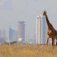 Africa is home to one of the most profound energy shifts in the world. While the continent is rife with turmoil, a growing number of nations are turning to alternative...