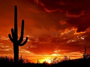 Arizona Solar Energy