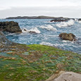 Algae-based biofuels now available in California Algae-based biofuels available to consumers for the first time Transportation is evolving as automakers and fuel producers begin taking alternative energy more seriously. Traditional fossil-fuels are becoming more expensive, especially...