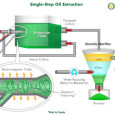 OriginOil looks to build urban algae farm to treat wastewater and generate heat for homes Algae are getting more attention from the world of science for its possible uses as a source of alternative energy. These simple organisms are very easy to manage and have...