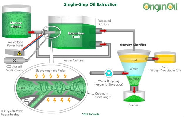 OriginOil looks to build urban algae farm to treat wastewater and generate heat for homes