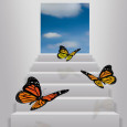 Butterfly wings may hold the key to hydrogen fuel cell efficiency Researchers from the Shanghai Jiaotong University in China have been working on a way to boost hydrogen fuel production. Their efforts were spurred by the growing demand for hydrogen gas,...