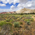 Alternative energy goals may be reached through use of marginal lands The U.S. has lofty goals concerning alternative energy and will likely need to find creative ways to meet these...
