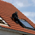 Solar panel installations drop in the UK after government cuts subsidies Cut to subsidies could hamper the growth of the solar energy industry The government of the United Kingdom recently made cuts to the solar feed-in tariffs that were meant to...