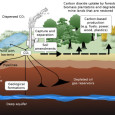 Carbon capture takes the spotlight in new computer model from University of California *Image credit from Wikipedia – Schematic of carbon capture from a coal plant Efforts to mitigate climate change gaining attention despite controversy The environment is becoming a popular subject as...