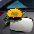 Fuel efficiency standards targeted by Obama administration U.S. legislative session coming to an end, fuel efficiency standards still on the table As another legislative session in the U.S. inches closer to finishing, some have criticized the federal...