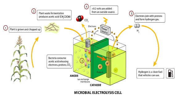 Microbial fuel cells process