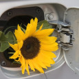Air Fuel Synthesis creates new clean fuel for vehicles Air Fuel Synthesis uses hydrogen to produce new kind of clean fuel Hydrogen is currently the most popular clean fuel that is expected to revolutionize the future of transportation, but it...