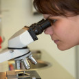 Rutgers University chemists work to find new storage technique for clean energy It seems that new sources of renewable energy are cropping up every day. While there can be no...