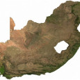 HySA Systems develops South Africa’s first native fuel cell HySA Systems makes fuel cell using native components HySA Systems, a hydrogen fuel research group in South Africa, has successfully built the first fuel cell that is comprised entirely of...