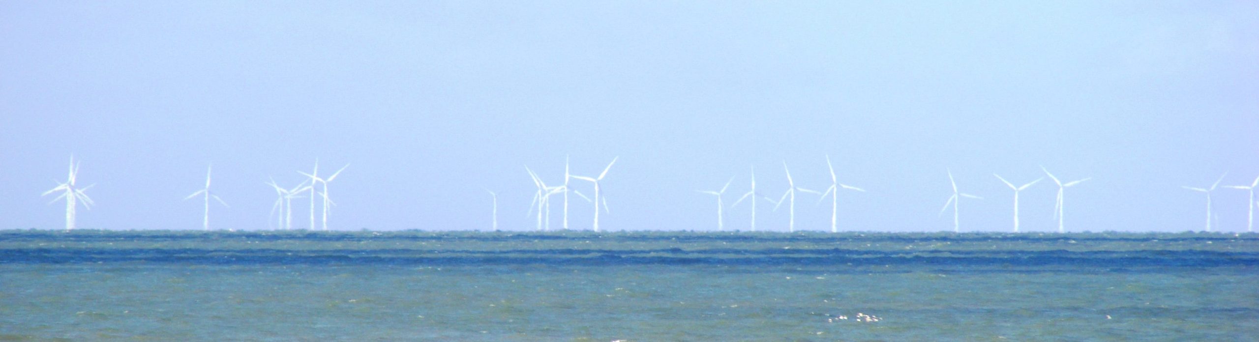 Offshore wind energy may benefit sea life