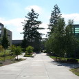Portland Community College adopts hydrogen fuel cell course Oregon’s Portland Community College is to begin offering a new course in the field of renewable energy in April of this year....