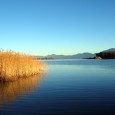 Germany set to launch new renewable energy storage initiative Germany continues showing its strength on the renewable energy front Germany is quickly establishing itself as a leading power in the realm of renewable energy. As the country begins to...