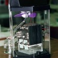 Methanol fuel cells may see a future in electric vehicles Oorja aims to bring methanol fuel cells to clean transportation Oorja Protonics, a developer of methanol fuel cells, has announced its partnership with the U.S. Lawrence Berkeley National Laboratory. Through...