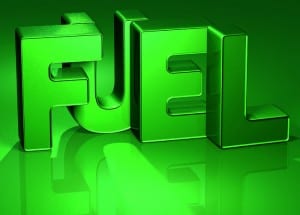 Fuel cells and the future