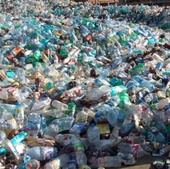 Plastic Pollution - Plastic Bottles