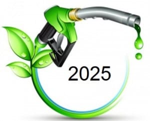 Hydrogen Fuel - 2025