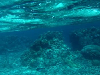 Wave Energy - Undersea Image