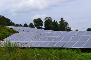 Solar Farm - Image of solar panels