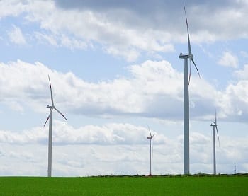 Wind Energy Market - Field with Wind Turbines