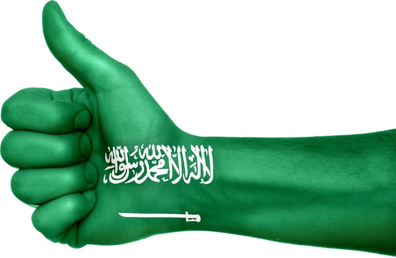 Saudi Arabia Lanuches Renewable Energy Plan - Saudi Arabia Flag on hand