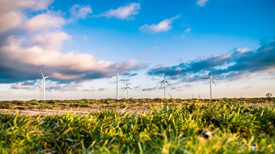 Wind Energy Farm - Renewables