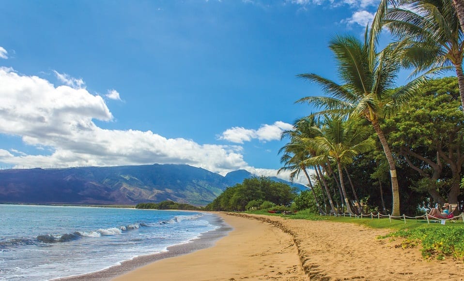 Renewable Energy - Beach in Hawaii