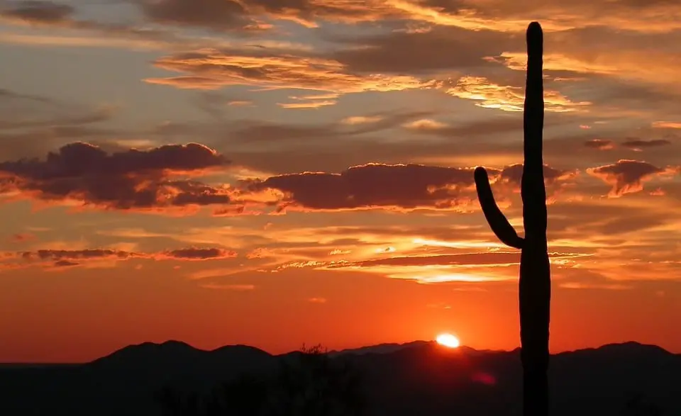 Solar Energy - Arizona Landscape