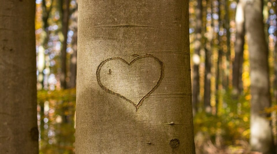 Renewable energy saving lives - heart in tree