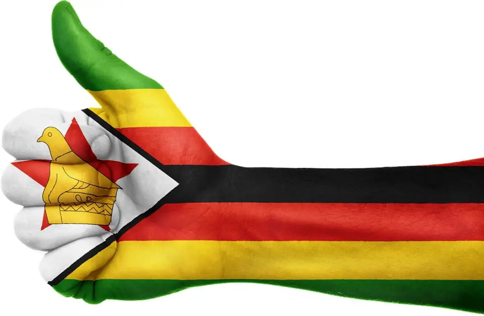 Support for Zimbabwe Wind Energy Study - Zimbabwe flag on arm