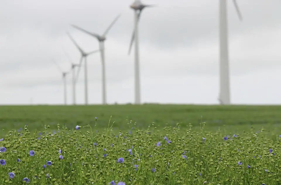 Wind Turbines in field - Wind energy