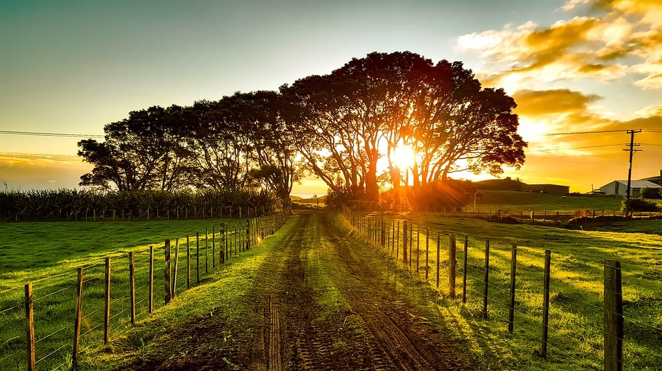 New Zealand Landscape- Renewable Energy