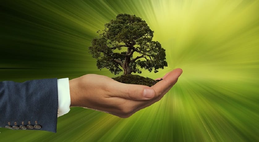 Renewable Energy Continues to Thrive - Hand holding tree