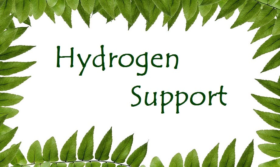 Hydrogen Research - DOE Support