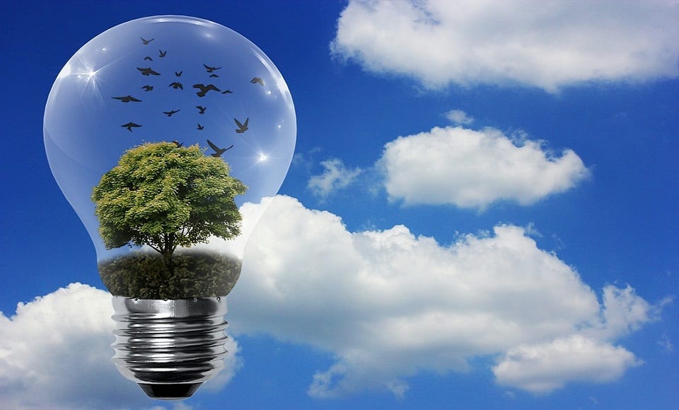 clean hydrogen storage - lightbulb with green energy