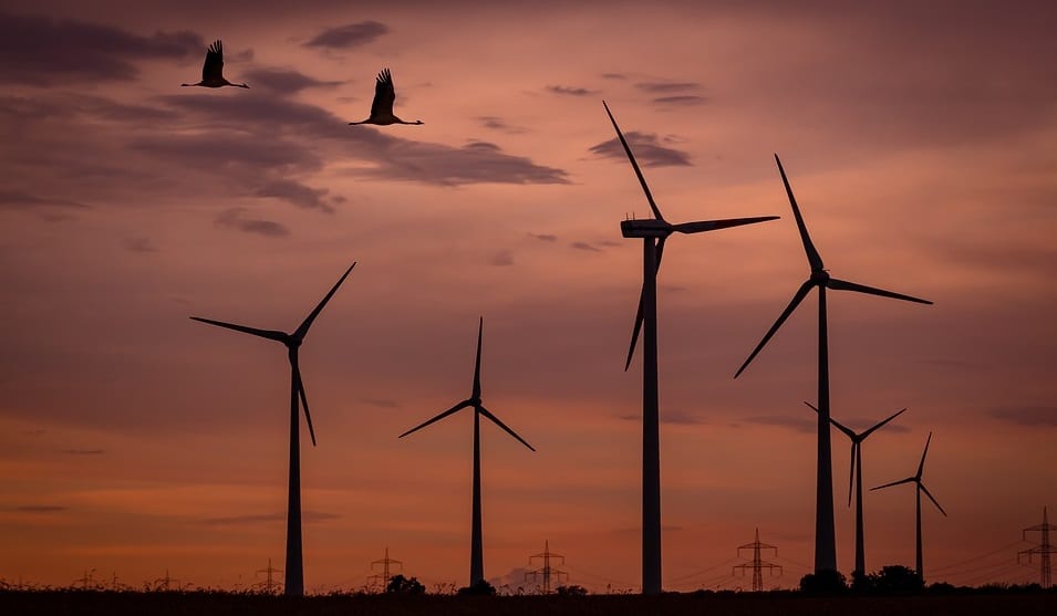 Wind Power Turbines - Wind Farm and Birds Flying