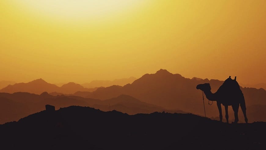 Geothermal electricity - Egypt landscape - sunset - camel