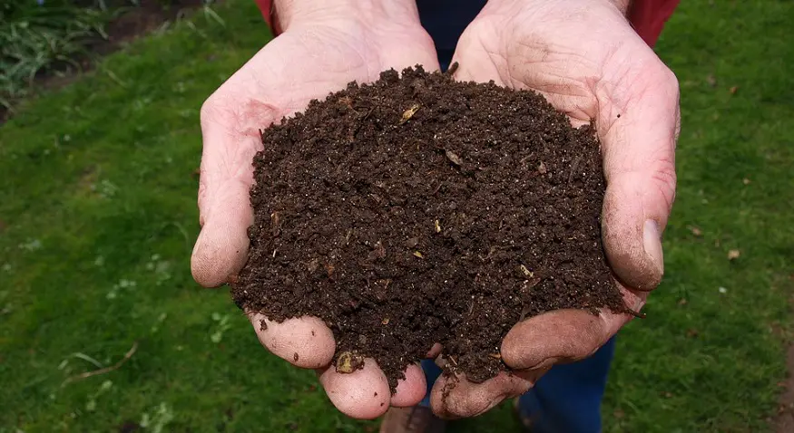 human body composting - hands holding soil