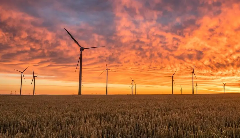 Alberta wind energy farm - wind turbines in wheat field