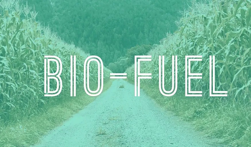 Bio-fuel Manufacturing Bio-fuel Manufacturing