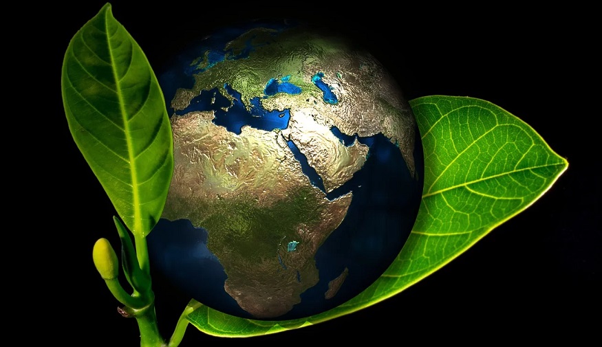 Global renewable energy - world in plant