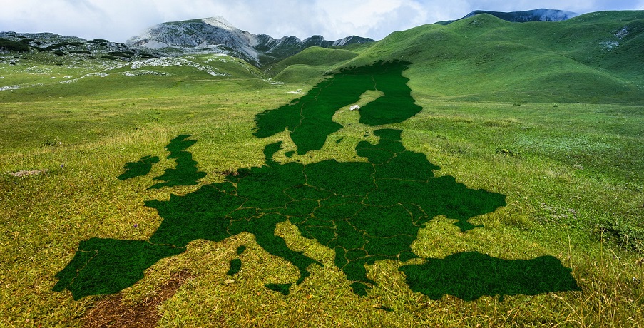 Warmest year - Europe outlne on meadow