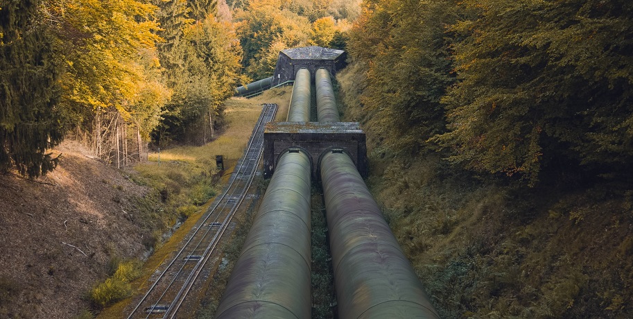 Pipeline Company - pipeline in forest