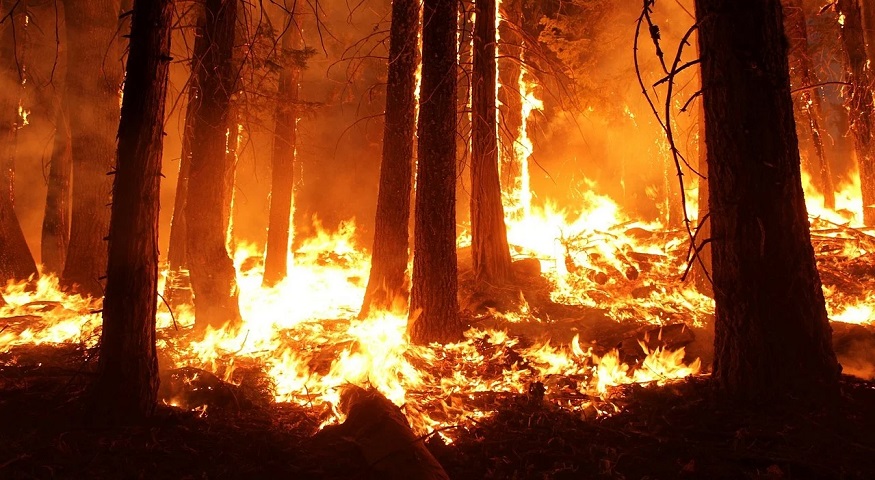 California wildfires are moving faster due to climate change