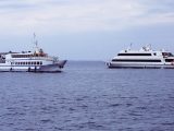 Hydrogen fuel cell ferry - image of ferries on water