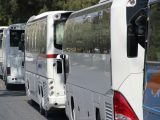 Fuel cell bus fleet - images of buses