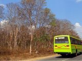 Hydrogen fuel cell buses - Image of bus in India
