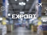 Hydrogen export - Export industry