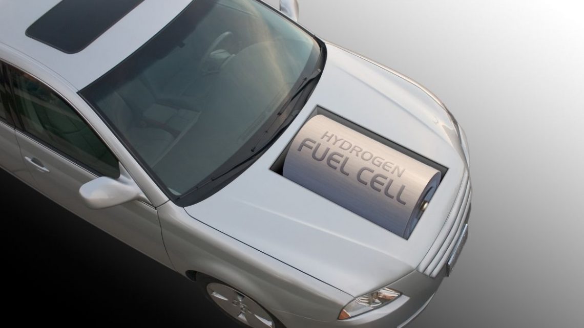 What role will fuel cell cars play in the United States?